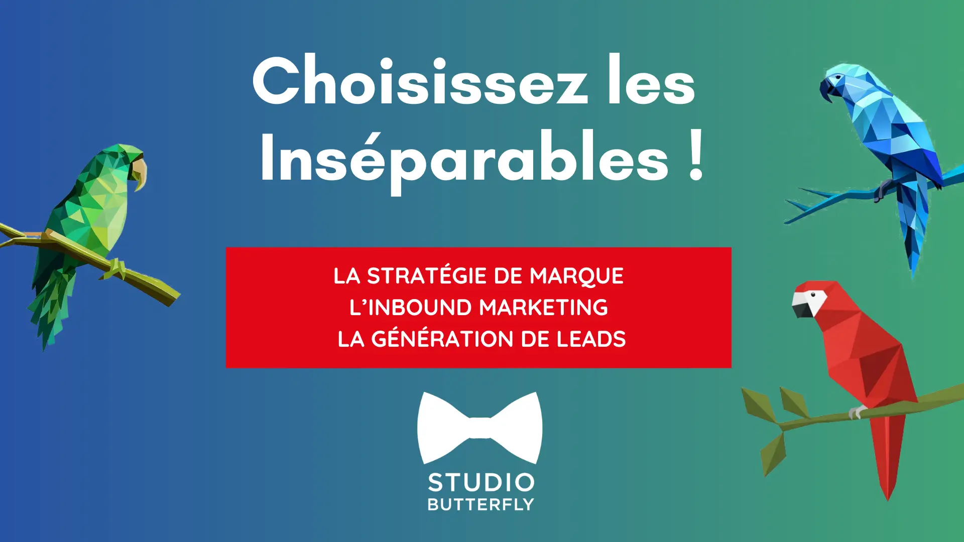 Séminaire Studio Butterfly